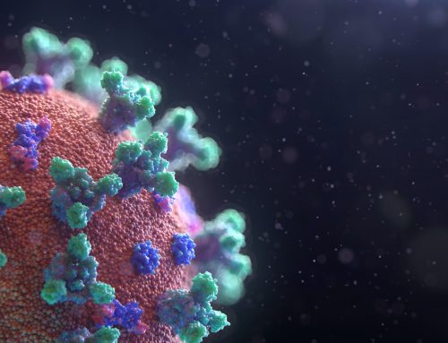 Les maladies transmissibles
