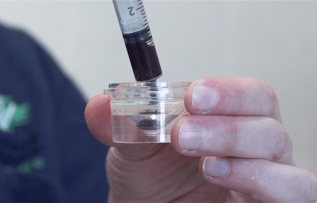 Bilan sanguin clinique vétérinaire cèdre