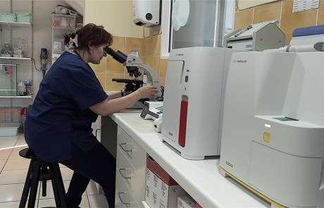 laboratoire clinique vétérinaire du cèdre
