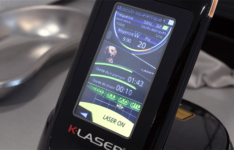 Laser clinique vétérinaire du cèdre
